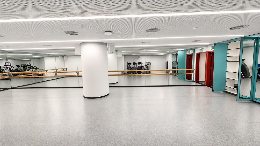 Multipurpose Room (Beirut)